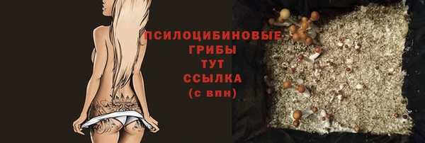 шишки Алексин